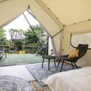 제주 야자원 이미지