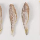 서하농수산 - 목포시 삼일로9번길 14 | 서하농수산