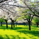 모텔 32일 | 영동 32일 | 영동군 가성비 숙소 추천, 깔끔한 후기