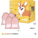 [오구야] 키티 레인 부츠 - 강아지신발 내돈내산 후기