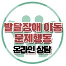 [온라인상담: 발달장애 아동 문제행동] 한국아동청소년심리상담센터 이미지