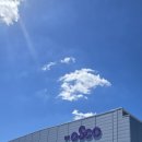 파파 펫 푸드 | 치둥파파 일상 기록 _ 2025 청주 오송 오스코 K렙타일페어 방문 후기 (크레스티드게코 분양까지)