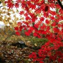 거창중앙고등학교 이미지