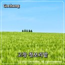 한새농원 | 고창 청보리밭 축제 기간동안 인생샷 찍기
