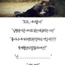 인손