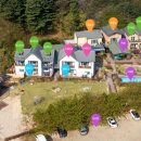 속초 애견펜션 양양 해피 플레이스 이미지