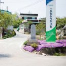 강원약초 이미지