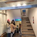 [압구정로데오역 갤러리아백화점/오징어볶음 맛집/내돈내산/솔직후기] 뱃고동 토요일 점심 웨이팅 후기