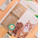 펫 사랑 이미지