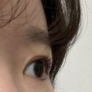 [김해 유니온] 내 돈 내산 블랙틴팅 속눈썹 관리 후기