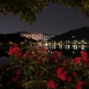 화정엘리체 퍼스트지 입주자 사전점검 후기와 향후가치