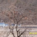 장작불 이야기 이미지