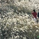 바람소리 이미지