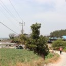 땅끝낚시터 이미지