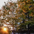 한길여인숙 이미지