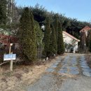 장꽁 펜션 | [태안-안면도] 장꽁펜션 : 10만원대 안면도 오션뷰 숙소 추천, 민들레방 후기