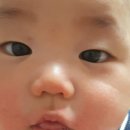 비당국수 이미지