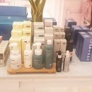 사우스코스트 이미지