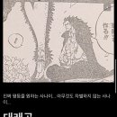 원피스)스포)베가펑크 디자인에 난리난 원버갤 이미지