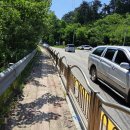 치악산둘레길 9코스 자작나무길 | 치악산둘레길 9코스 자작나무길