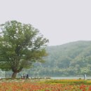 산천어양식장 네이버블로그