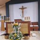 장지1길 | [성당] 경기광주 장지동성당 방문 후기 (2026.04.12 부활 제2주일)