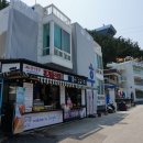 [삼척장호마을]투명카누생태체험 티스토리