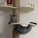 된장마을 고깃집 서면점 이미지