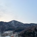춘천 야외스파 펜션 &#39;삐끄니끄 펜션&#39; 후기 (개냥이 있음)