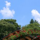 시간속의 추억 이미지