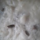 한우1000 이미지