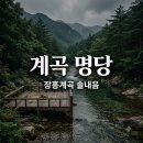 솔내음바람쉼터 | "발 담그고 백숙을?" 30도 폭염에도 추워서 난리 난 장흥계곡솔내음 명당..