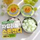 스토어스톤 | 자일리톨 스톤 캔디 팝업스토어 구매 후기 | 레몬 청포도 무설탕 아이간식