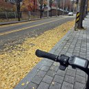 롯데빌 | 쇄골 꽃타투 감성 라인타투 자연스러운 미 오산동탄타투 잉크샵