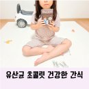 올레코사마트 | 유아초콜릿 고고다이노 비타와이즈초콜릿 어린이 유산균 추천드림