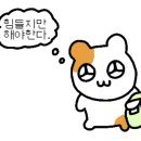 신남탑치과 이미지