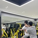 플렌비