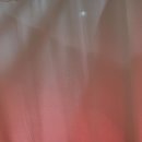 금당한의원 이미지