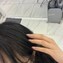 반송동 미용실 헤어다이아 동탄점 새치커버 톤다운 염색 후기