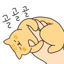 더그린팩토리 이미지