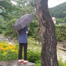 방태산솔마루오토캠핑장 이미지