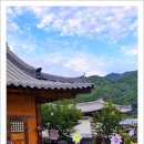 여행사랑 - 거제시 장평로 7 | 여행사랑