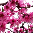 가정식당 이미지