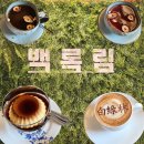 비까페 | 양산 한옥카페 백록림 비 오는 날 대형카페 후기