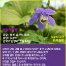 8-83. 슈뢰딩거의 고양이 패러독스 이미지