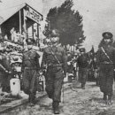 안경코리아 이미지