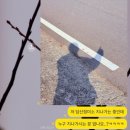 O2 (오투)노래연습장 | [광천 여행] 로컬살이 프로젝트 에피소드 광천 3기 필름편 3일차_광천마을 출사 및 홍성 당일치기 여행