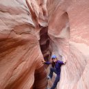 메모리얼 연휴 특별산행 - Grand Staircase National Monument 이미지