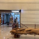 베스트웨스턴인천에어포트호텔 이미지