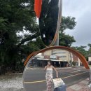 제주지인 게스트하우스 이미지